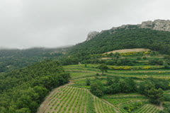 GFV SAINT VINCENT LES TERRASSES DES CRETES