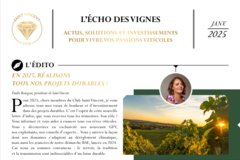 L'ECHO DES VIGNES 